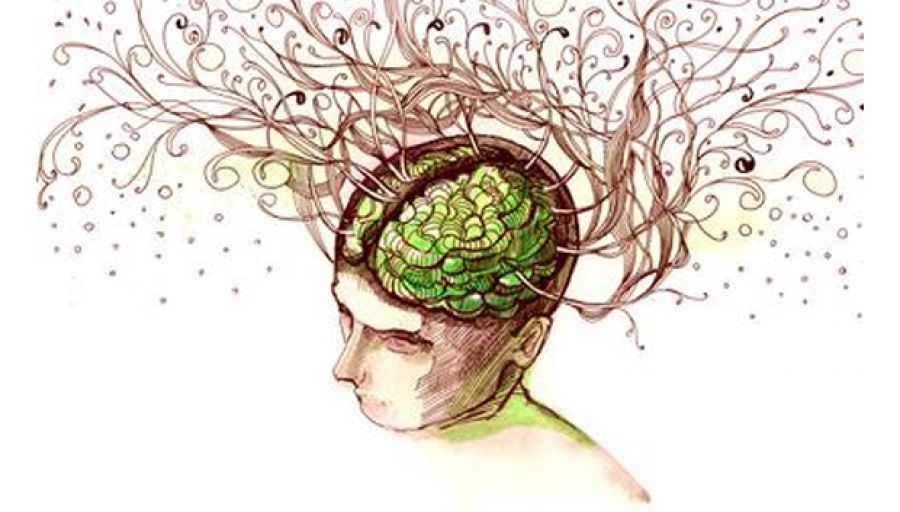 Imagenes Mentales De Psicologia | viral 237 zalo trastornos mentales y psicolog 237 a Imagenes Mentales De Psicologia | viral 237 zalo trastornos mentales y psicolog 237 a