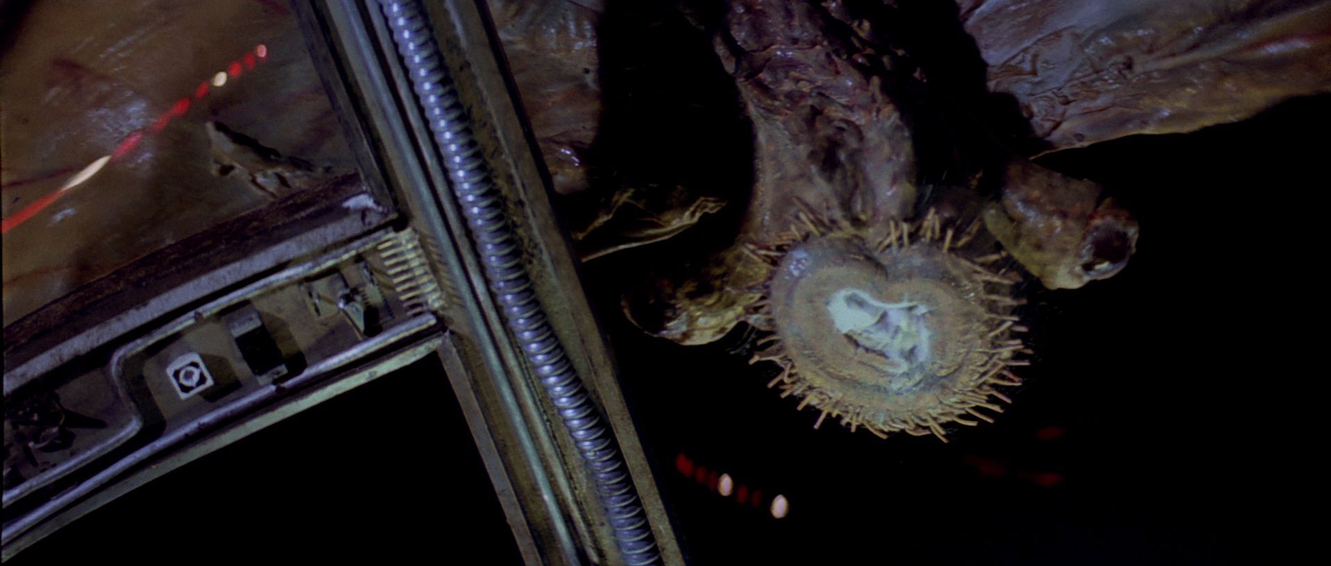 ¿Qué criaturas atacan en el espacio al Halcón Milenario en su huida de Hoth?