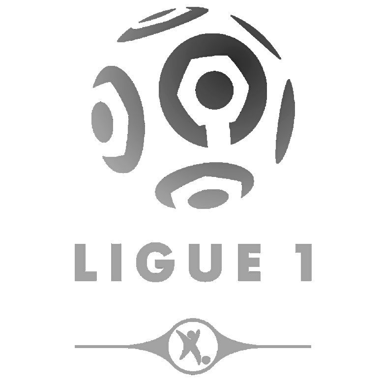 8462 - ¿Cuánto sabes de la Ligue 1?