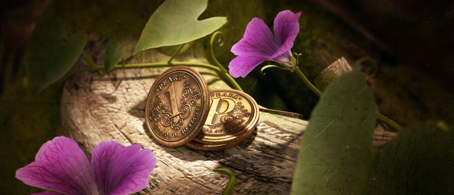 ¿Qué moneda se usa en Tomorrowland?