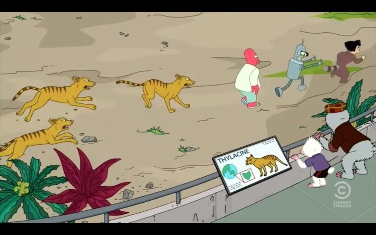 Un tigre se escapa del zoo. ¿Cómo reaccionas?