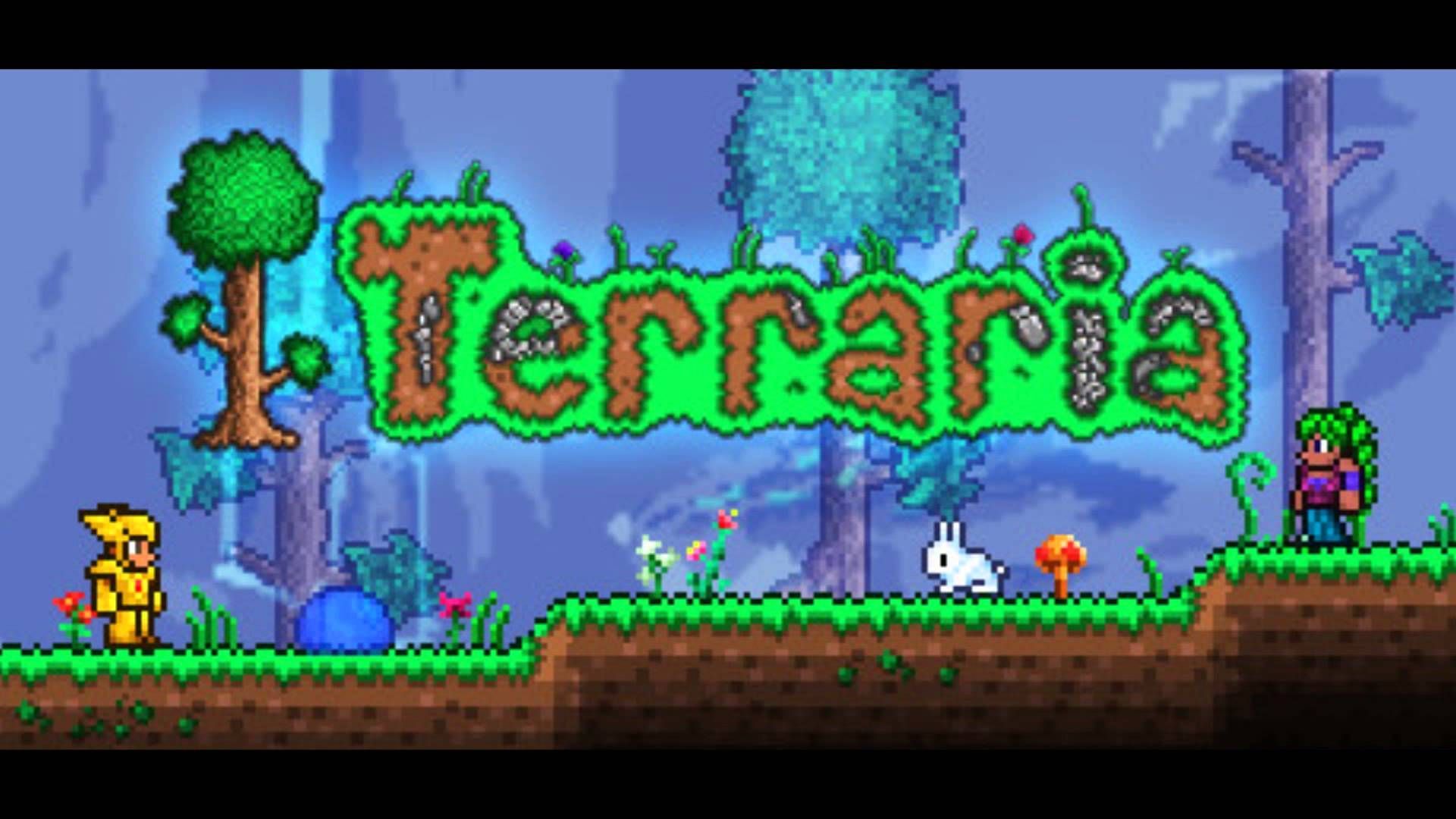 11636 - ¿Cómo de fan eres de Terraria?