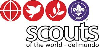 ¿En cuántos países existen los scouts? (aprox).