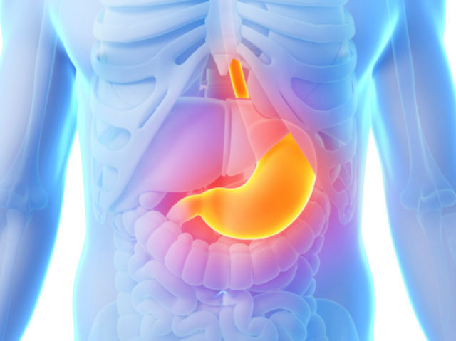 ¿Cuál de estos órganos NO pertenece al aparato digestivo?
