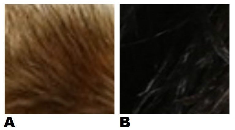 ¿Cuál es pelo/peinado de pretendiente/tronista?