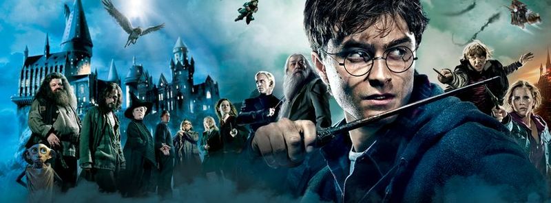 28751 - Encuesta sobre Harry Potter PARTE 1